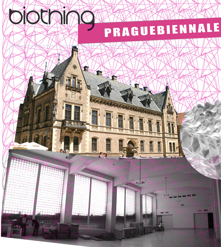 Biothing: The Invisibles at Prague Biennale