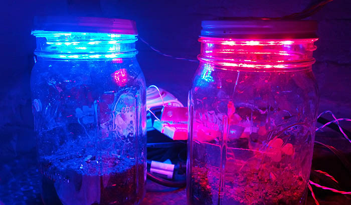 LED Red vs. Blue Color Frequency Experiment